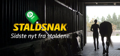 LUNDEN onsdag - Masser af træner/kuskekommentarer i "Staldsnak"