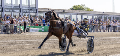 TIPSANALYSER til alle løbene - LUNDEN onsdag 23. september - Kriterieprøver
