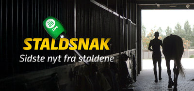 STALDSNAK med Carsten Rabjerg - Lunden onsdag 23. september - Kriterieprøver