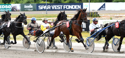 TIPSANALYSER til alle løbene - AALBORG torsdag 24. september