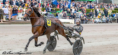 JÄGERSRO - Breeders Course-finaler for 2-års med danske islæt