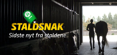 STALDSNAK med Mikkel Johansen - Skive V65 onsdag 14. oktober