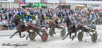 STARTLISTER - Odense fredag - 10 løb med Grand Circle 4-års Championater