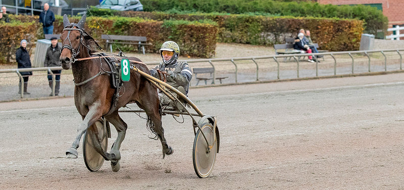 Jackie Wee ved en sejr på Lunden med Bent Svendsen.