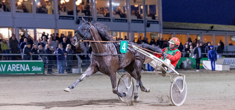DERBY: Keen Lady Josselyn & Katmai tilbage hos Steen Juul