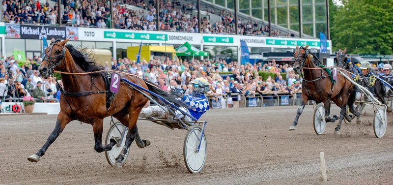 BREAKING: Get A Wish i Qualifier på Meadowlands fredag