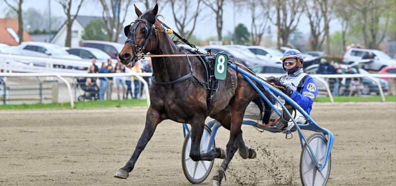 Startlister klar til Aalborg onsdag - V65 med rigtig gode spilleløb