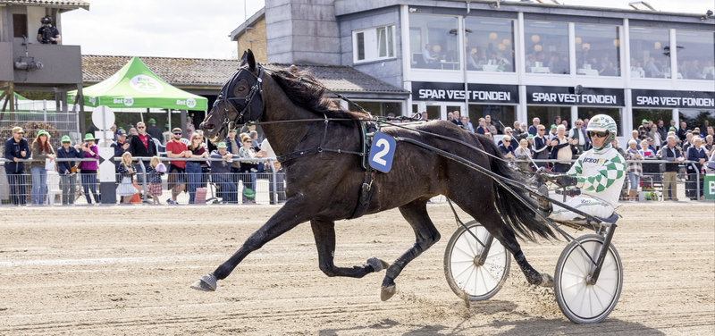 TRÆNERLIGAEN: Flemming Jensen holder fast i sit store forspring