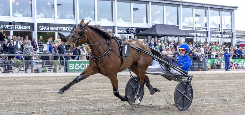 COPENHAGEN CUP: Wildcard til Hades De Vandel
