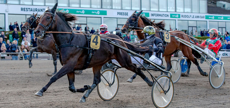COPENHAGEN CUP: Startsporene trækkes live på Bet25