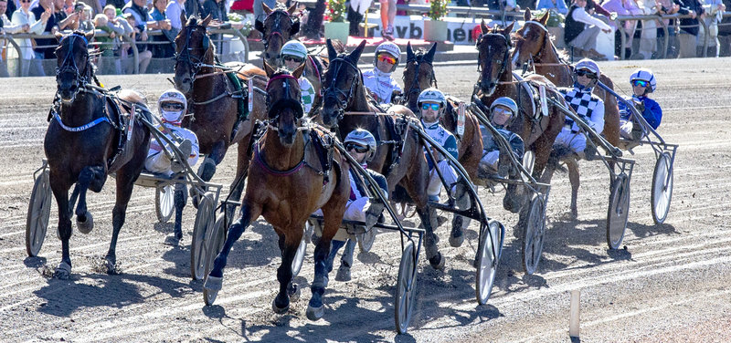 COPENHAGEN CUP: Startlisten er klar