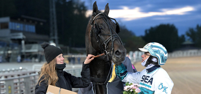 ELITLOPPET: Don Fanucci Zhow på Solvalla - med i Elitloppet