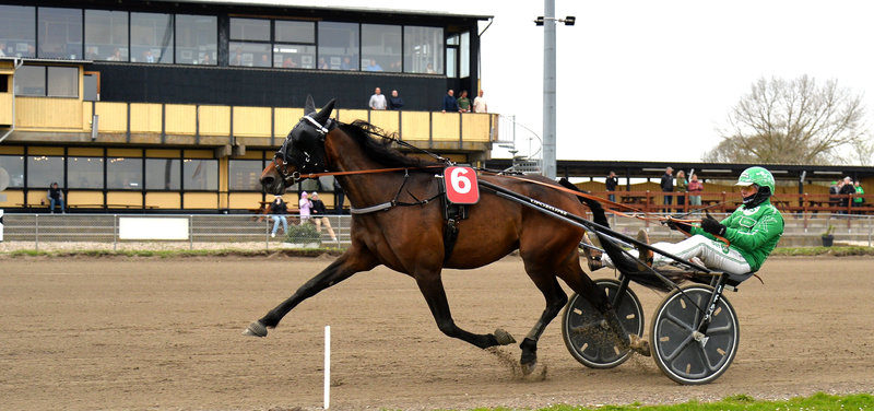 Keep Up Laser vandt let 24. april på NFT og er storfavorit igen i dag.