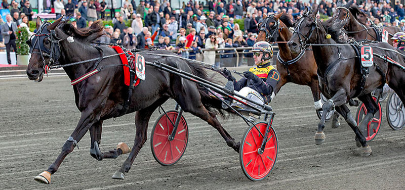 Copenhagen Cup: Legende let sejr til Diva Ek