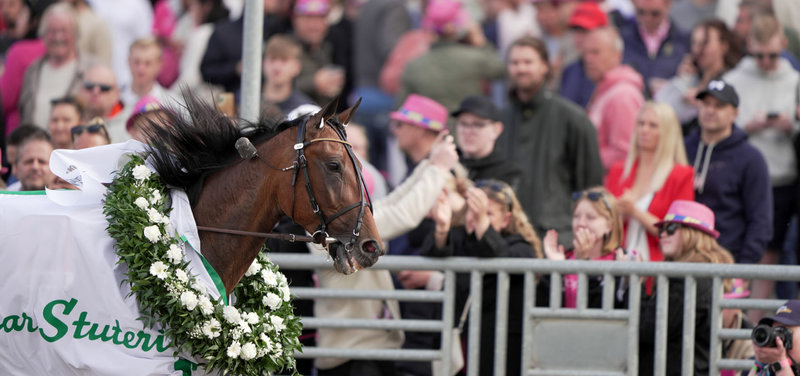 Bet25:  V75 fra Gävle - rosa billet og millioner på spil
