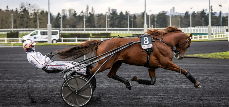 Hellækre Hooker Berry afløser Cobra Killer Gar i Elitloppet.