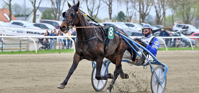 Tipsanalyser Bet25 - Mandag 19. maj Skive