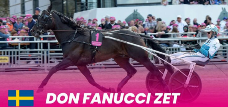 Bet25’s oddssætter: Her er mit bud på Elitloppet-finalen