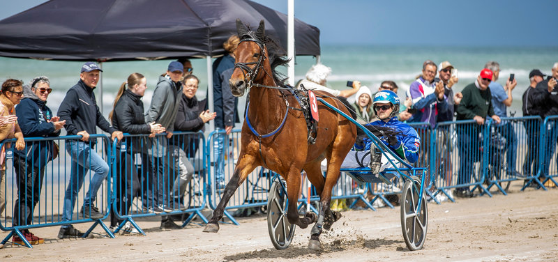 TRAV VED HAV - Åbent for tilmeldinger til løbene