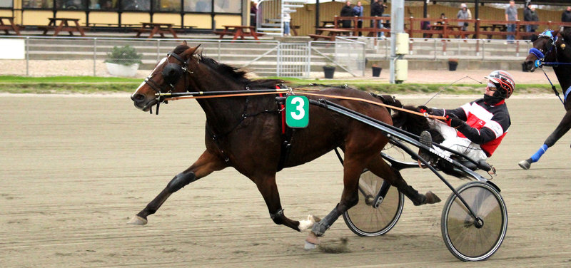 Ginetta ved en tidligere sejr på Nykøbing Falster Travbane med Jan Kramer i sulkyen.