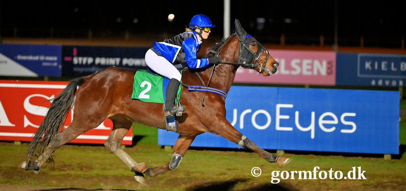 Caviars Dream ved en tidligere start i Odense med Mette Carlsen i sadlen.