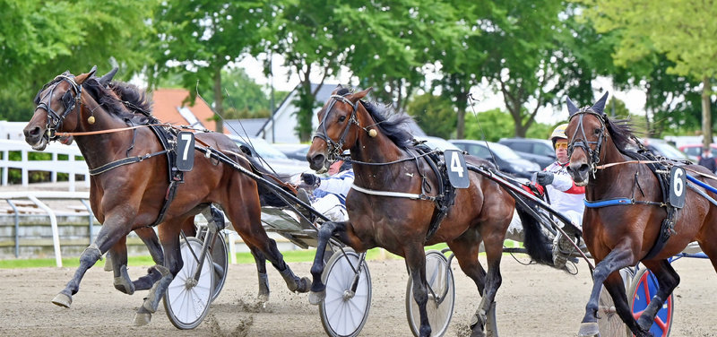 STARTLISTER: Der meldes til start på tre baner denne tirsdag