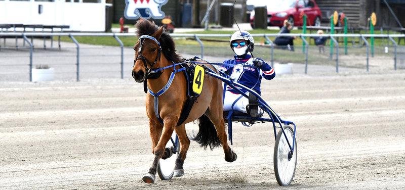Zixten Mo da den i Skive kvalificerede sig til Lilla Elitlopp med Sofie Pihl.