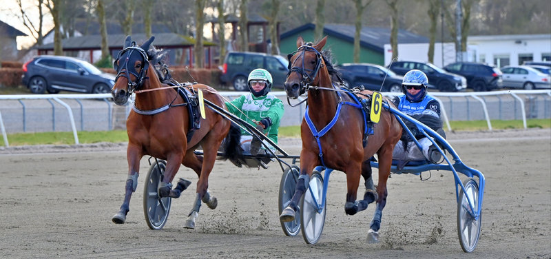 Bet25 klar med anpartshest