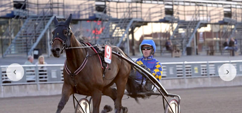 Bourbonista i Panamera Racings ejerfarver.