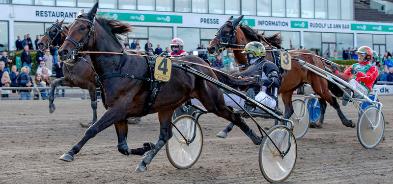 STARTLISTER: Kanonløb i Odense fredag med Grand Circle 5-års Championater