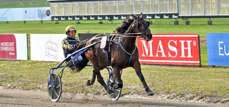 AMATØRLIGAEN: "Kojak" i front efter fem måneder