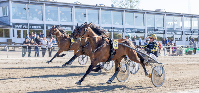 STARTLISTER: Lunden søndag & Skive mandag