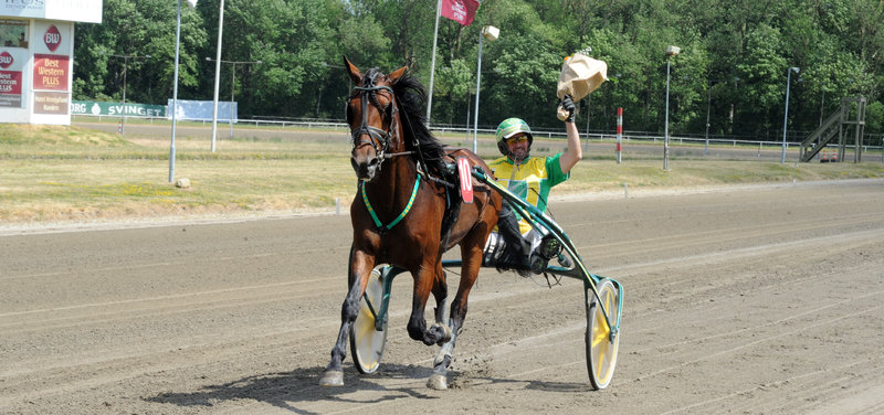 Tipsanalyser Bet25 - Onsdag 4. juni Aarhus