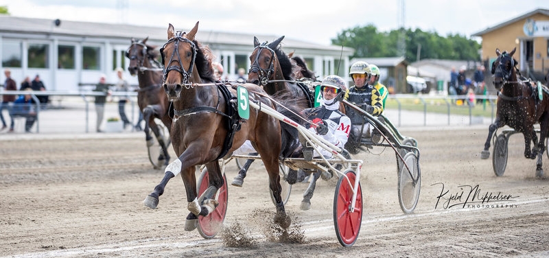 Pointberegningen klar til Jydsk 4-årings Grand Prix