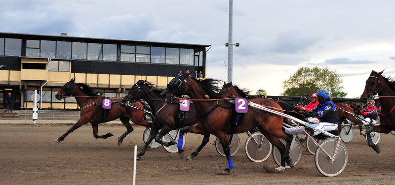 STATISTIK: Maj 2025 - Chasing Shadow ny hest i gult i Oddsligaen
