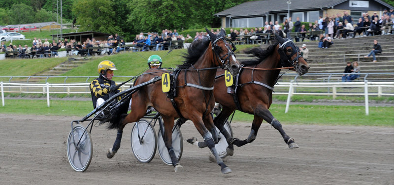 Tipsanalyser Bet25 - Søndag 15. juni Nykøbing Falster