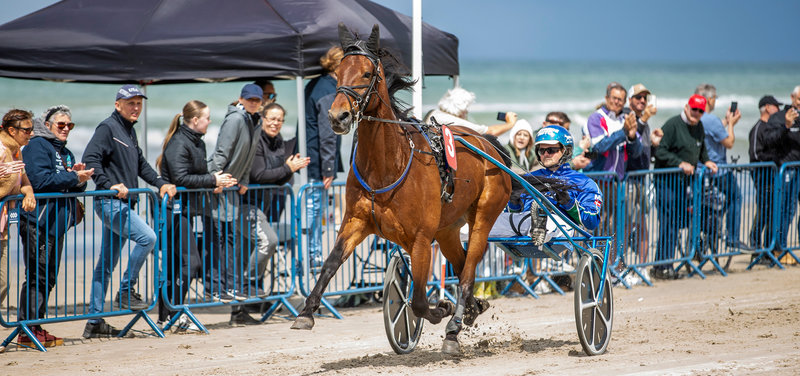 TRAV VED HAV - Dagens program i Blokhus starter kl. 13.00