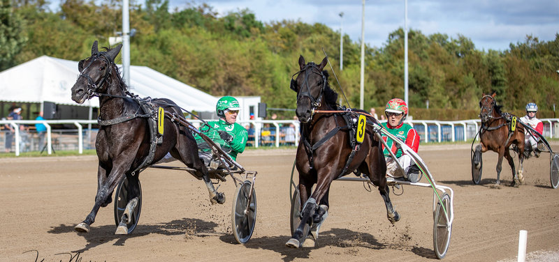 Pointberegningen klar til Grand Circle 3-års Championater