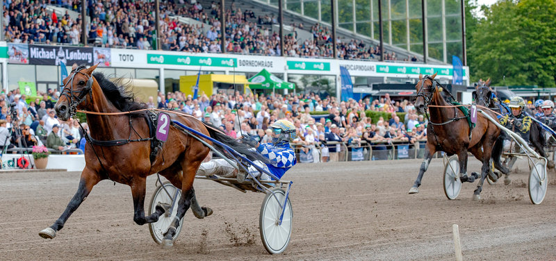USA NEWS: Ny start for Get A Wish på lørdag på Meadowlands
