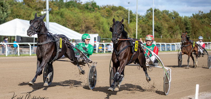 STARTLISTER: Grand Circle-prøver i Aalborg på onsdag