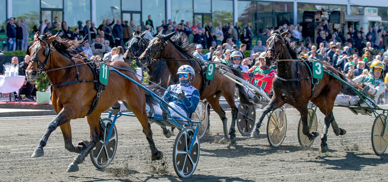 Tipsanalyser Bet25 - Fredag 20. juni Odense