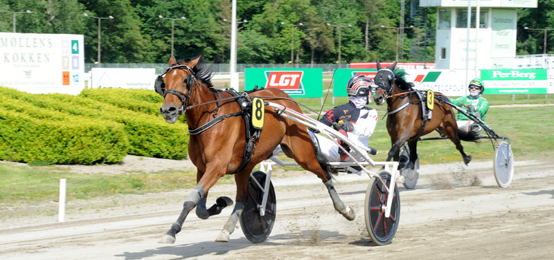 GRAND PRIX: Michael Lønborg har fundet kuske til alle syv finalister