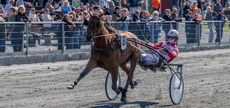 Tipsanalyser Bet25 - Tirsdag 24. juni Bornholm