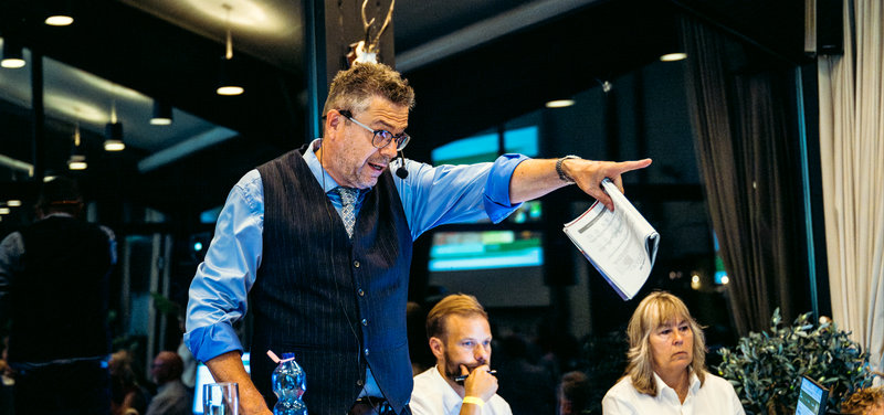 AUKTION: Se de tilmeldte heste til Copenhagen Sale & Danish Yearling Sale