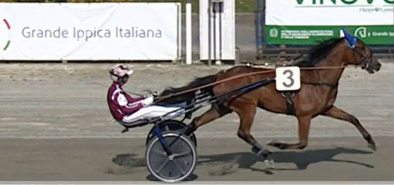 Leo Wynn ved en sejr i Italien.