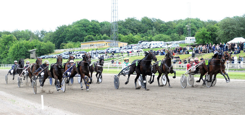 Bet25: Vind 1.000 kr. – forudsig vinderen af Jydsk 4-årings Grand Prix