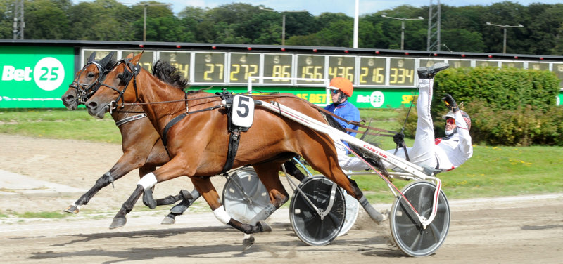 Kaley D C vandt Jydsk 3-årings Hoppe Grand Prix i fjor med en glad Michael Lønborg i sulkyen.