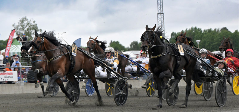 SVERIGE: Wise Guy vandt E3-finalen