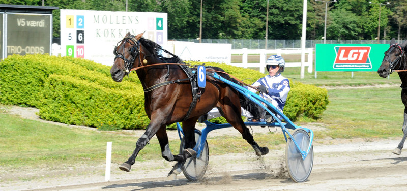 Tipsanalyser Bet25 - Søndag 29. juni Aarhus - Grand Prix-dagen