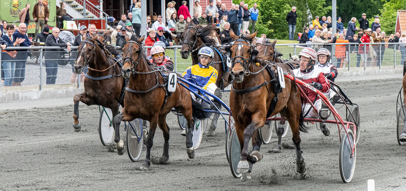 Tipsanalyser Bet25 - Tirsdag 1. juli Bornholm